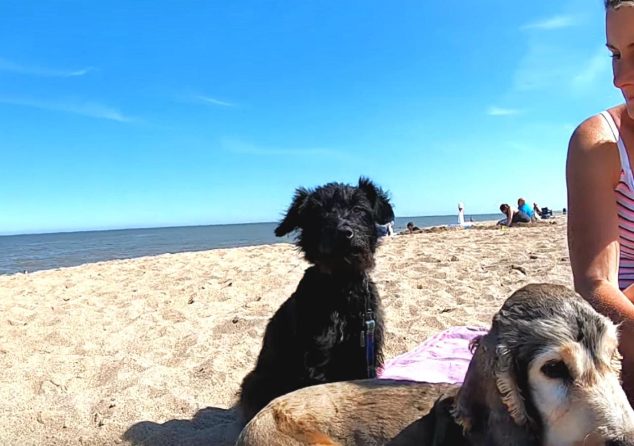 Romantic Lakeside Cottage By The Beach! With Super Cosy Log Burner! The Perfect Escape To Your Home From Home By The Sea! So Relaxing - You Won'T Want To Leave! Pet Friendly! Mablethorpe Εξωτερικό φωτογραφία