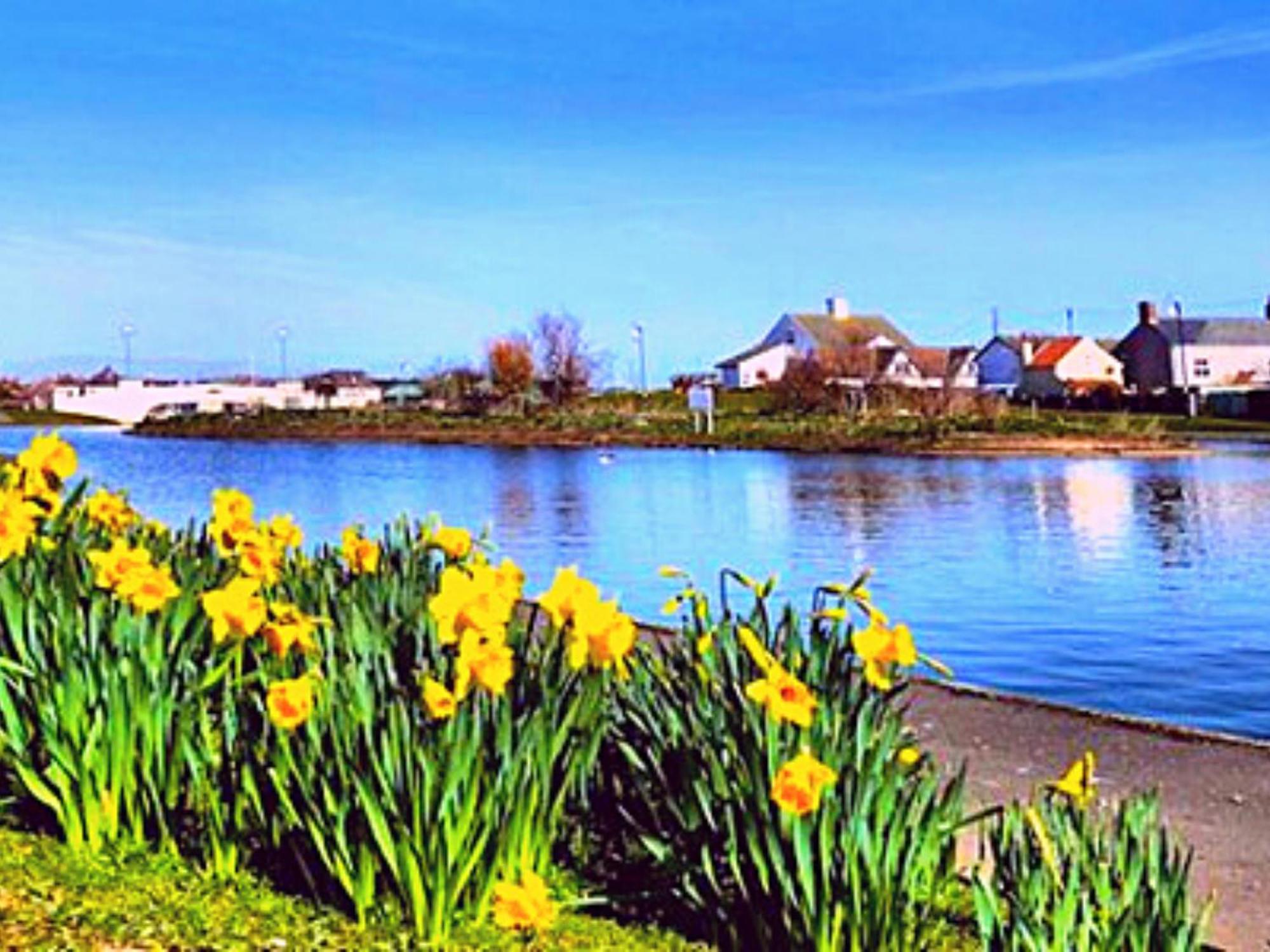 Romantic Lakeside Cottage By The Beach! With Super Cosy Log Burner! The Perfect Escape To Your Home From Home By The Sea! So Relaxing - You Won'T Want To Leave! Pet Friendly! Mablethorpe Εξωτερικό φωτογραφία
